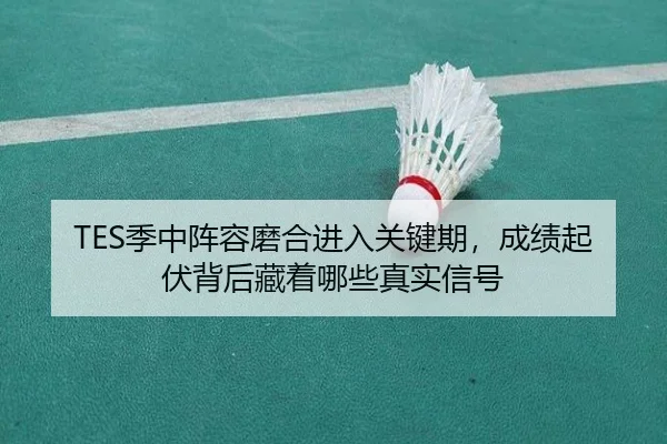 TES季中阵容磨合进入关键期，成绩起伏背后藏着哪些真实信号